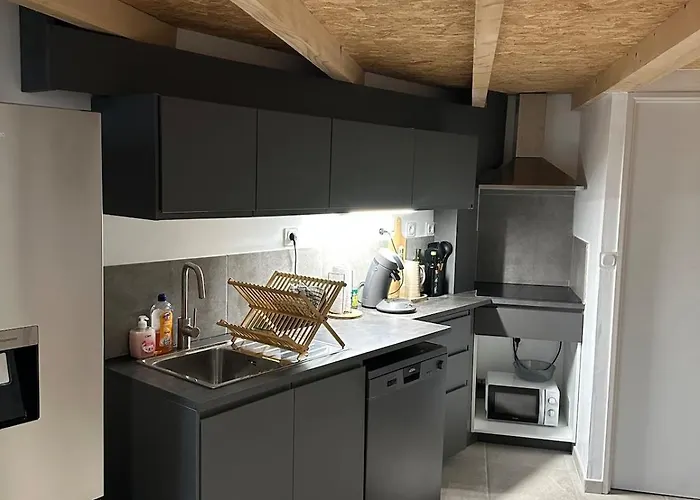 Duplex Climatise Avec Terrasse Et Parking Privatif